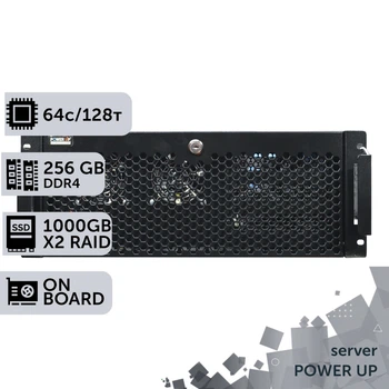 Сервер PowerUp #88 AMD EPYC 7702 / 256 GB / SSD 1TB х2 Raid / Int Video
