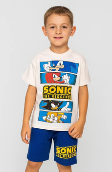 Комплект (футболка, шорти) Sonic (Сонік) 134/140 см Разноцвет TRW2506251