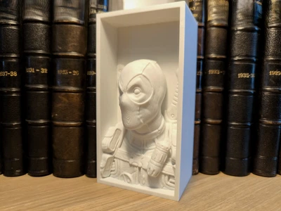 Ексклюзивна тематична книжкова ніша Детпул. Aivory