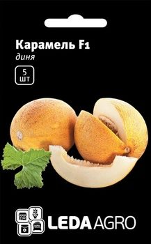Карамель F1 насіння диня Leda Agro 5 шт