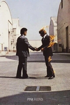 Постер (201) Pink Floyd - Wish You Were (8592839040798)