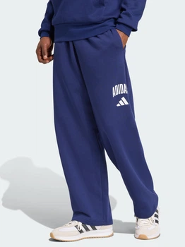 Спортивні штани чоловічі утеплені Adidas Collegiate JM9179 M Сині (4068808693233)