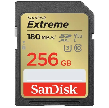 Карта памяти SanDisk SD 256GB C10 UHS-I U3 (SDSDXVV-256G-GNCIN)
