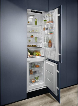 Холодильник Electrolux RNT6TE19S0