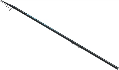 Вудилище болонське Brain Scout Neo Bolo 5800 5.75m 50-120g (1858-55-11) 4729367