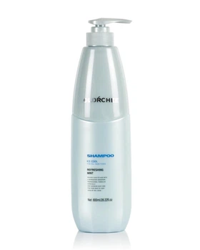 Шампунь для роста OLORCHEE Ice Cool Shampoo с ментолом 800ml