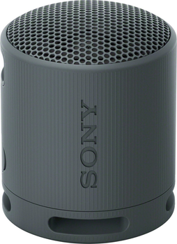 Акустическая система Sony SRS-XB100 Black (4548736146129)