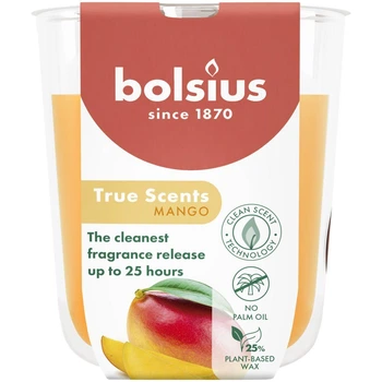 Свеча Bolsius ароматическая в стекле манго 25 часов 80/73 мм 72-101Б MAN 0310