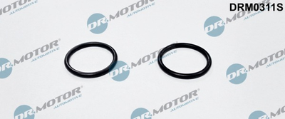 Комплект прокладок Dr.Motor (DRM0311S)