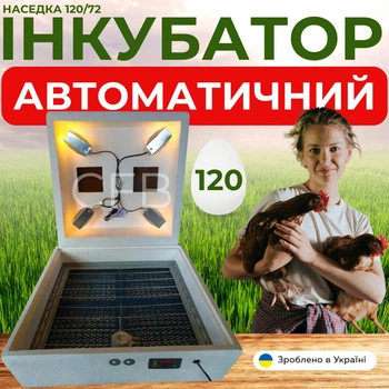 Інкубатор автоматичний на 120 яєць з ламповим нагрівальним елементом та автоматичним переворотом Наседка 120/72