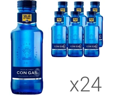 Упаковка минерально-лечебной среднегазированной воды Solan De Cabras, 24 шт. х 0,33 л, стекло