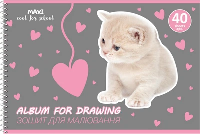 Альбом для рисования Maxi A4 40 листов (MX60904-05)