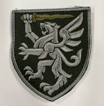 Шеврон SteelCats 80 Окрема десантно-штурмова бригада / зах / Нарукавна емблема (5855-L)