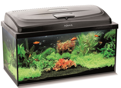 Zestaw akwariowy Aquael AQUA4 START 60/P D&N 54 L (5905546331128)