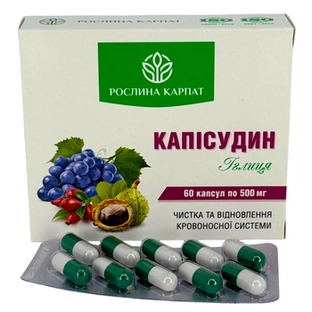Средство для очищения сосудов и улучшения кровообращения Рослина Карпат Каписудин (484791)