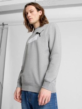 Свитшот на флисе мужской Puma Essentials Graphics 68470903 S Medium Gray Heather с принтом (4067983632747)