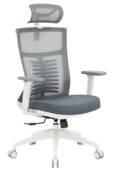 Офісне крісло OfficePro Balance OC550-W-DG-DG (OC550-W-DG-DG)