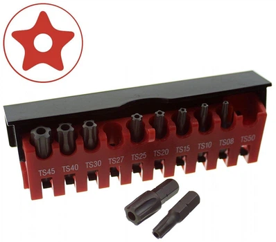 Набор бит Torx 5-ти лучевых с отверстием 10 пр. (TS08-TS50) 21013 F