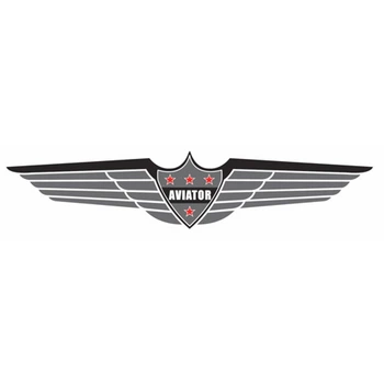 Наклейка авіаційна VINYL AVIATOR DECAL
