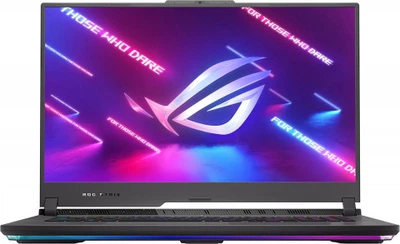 Ноутбук Asus ROG Strix G17 G713PI (G713PI-WB94) Eclipse Gray