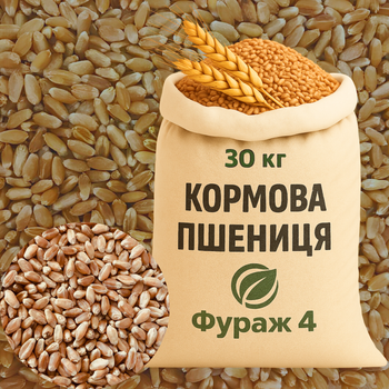 Кормовая Пшеница (Фураж 4) 30кг
