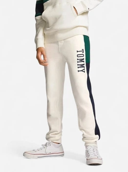 Дитячі теплі спортивні штани-джоггери для хлопчика Tommy Hilfiger 810924086 92 см Різнокольорові (1159838404)