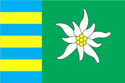 Прапор Рахівського району, 90х60 см, 835_14-100