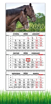 Календар настінний квартальний на 2026 рік на три пружини , Apriori, рік Коня, Кінь, символ року Кінь,Horses , 29,7х61см , 7 вид
