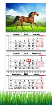 Календар настінний квартальний на 2026 рік на три пружини , Apriori, рік Коня, Кінь, символ року Кінь,Horses , 29,7х61см , 48 вид