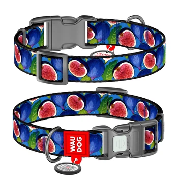 Нашийник WAUDOG Nylon з QR адресником, пластикова пряжка-фастекс "Інжир" S (4823089375588)