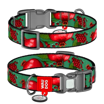 Нашийник WAUDOG Nylon з QR адресником, пластикова пряжка-фастекс "Гранати" S (4823089375571)