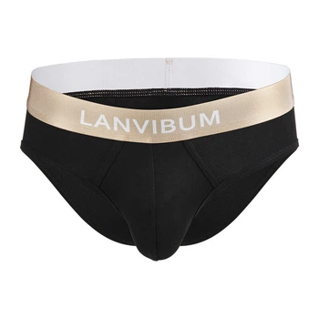 Труси бріфи чоловічі Lanvibum 04-2761 XL колір чорний