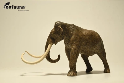 Колумбійський мамонт Mammuthus columbi EoFauna 00710
