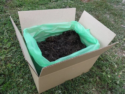 Набір для вирощування білих печериць Дари Природи 10 кг