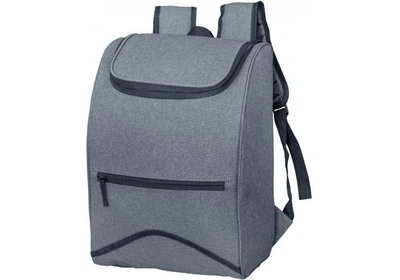 Сумка -холодильник (терморюкзак) Time Eco TE-4021 21 л