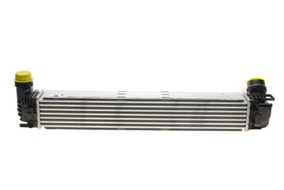 Радіатор інтеркулера Renault Scenic III/Megane III 1.9D/2.0TCei 08- 30268 NRF