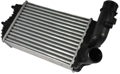 Радіатор інтеркулера Thermotec (DAF001TT)