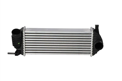 Інтеркулер Renault Kangoo (10-) (344980) KALE OTO RADYATOR KALE (344980)
