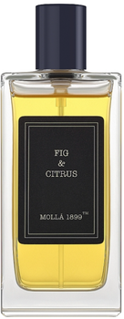 Aromatyczny spray Cereria Molla Fig & Citrus 100 ml (8424405012277)