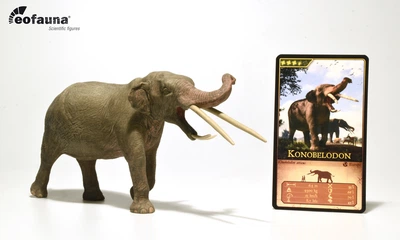Європейський Конобелодон Konobelodon EoFauna 00708