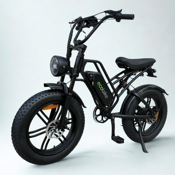 Електровелосипед ECOBIKE e-Motion V9 60V 19Ah 1000W Black| з системою PAS і колесами 20x4.0"