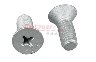 Гвинт гальмівного диску Metzger (11676K)