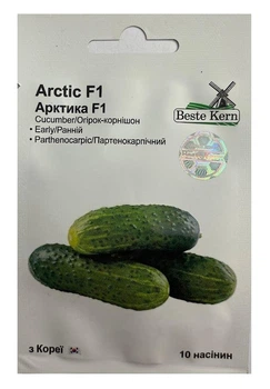 Насіння Огірок Арктика F1 10 насінин, Beste Kern