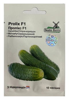 Насіння Огірок Пролікс F1 10 насінин, Beste Kern