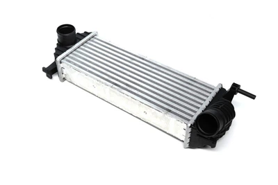 Інтеркулер Renault Kangoo 08- VAN WEZEL 43004471