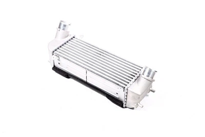 Інтеркулер Hyundai Santa Fe cm 06- Nissens 96559