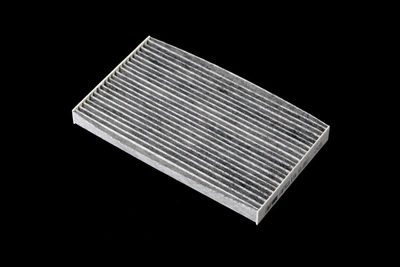 Фільтр салону Nissan Leaf 10- вугільний ALPHA FILTER AF5119a