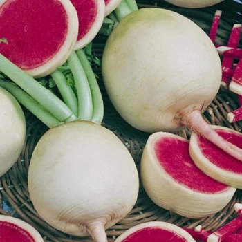 Редька японская Ред Мит F1, 1 г Takii Seeds Япония