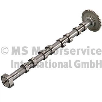 Розподільчий вал Kolbenschmidt (MSMI GmbH) (50007635)