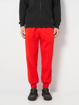 Спортивні штани чоловічі утеплені Puma F1 Essentials+ 63012303 L Pop Red (4067983317446)